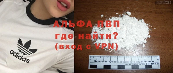 шишки Алексин