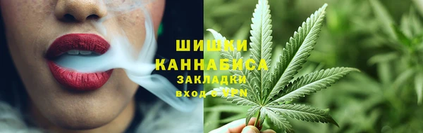 шишки Алексин