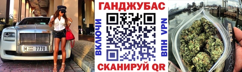 Конопля план  Сясьстрой 